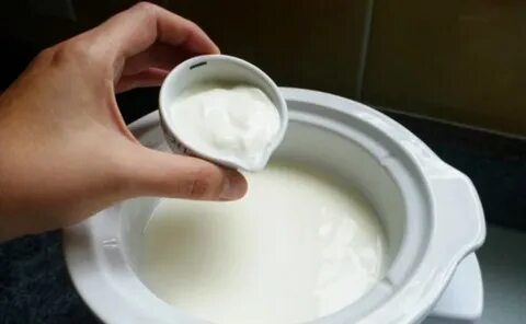 Что сделать с домашним молоком