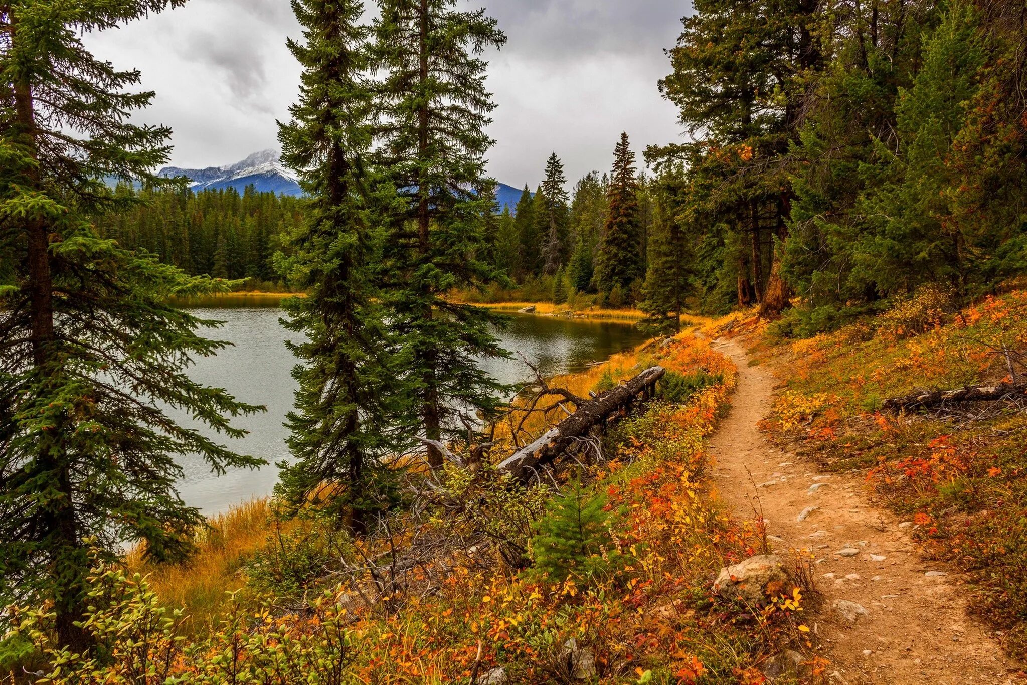 Natural fall. Лето горы река Тайга Сибирь. Сибирские Таёжные пейзажи. Тайга Карелия озеро осень. Сибирский лес Сибирская Тайга HD.