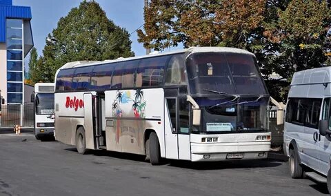 220 автобус белгород