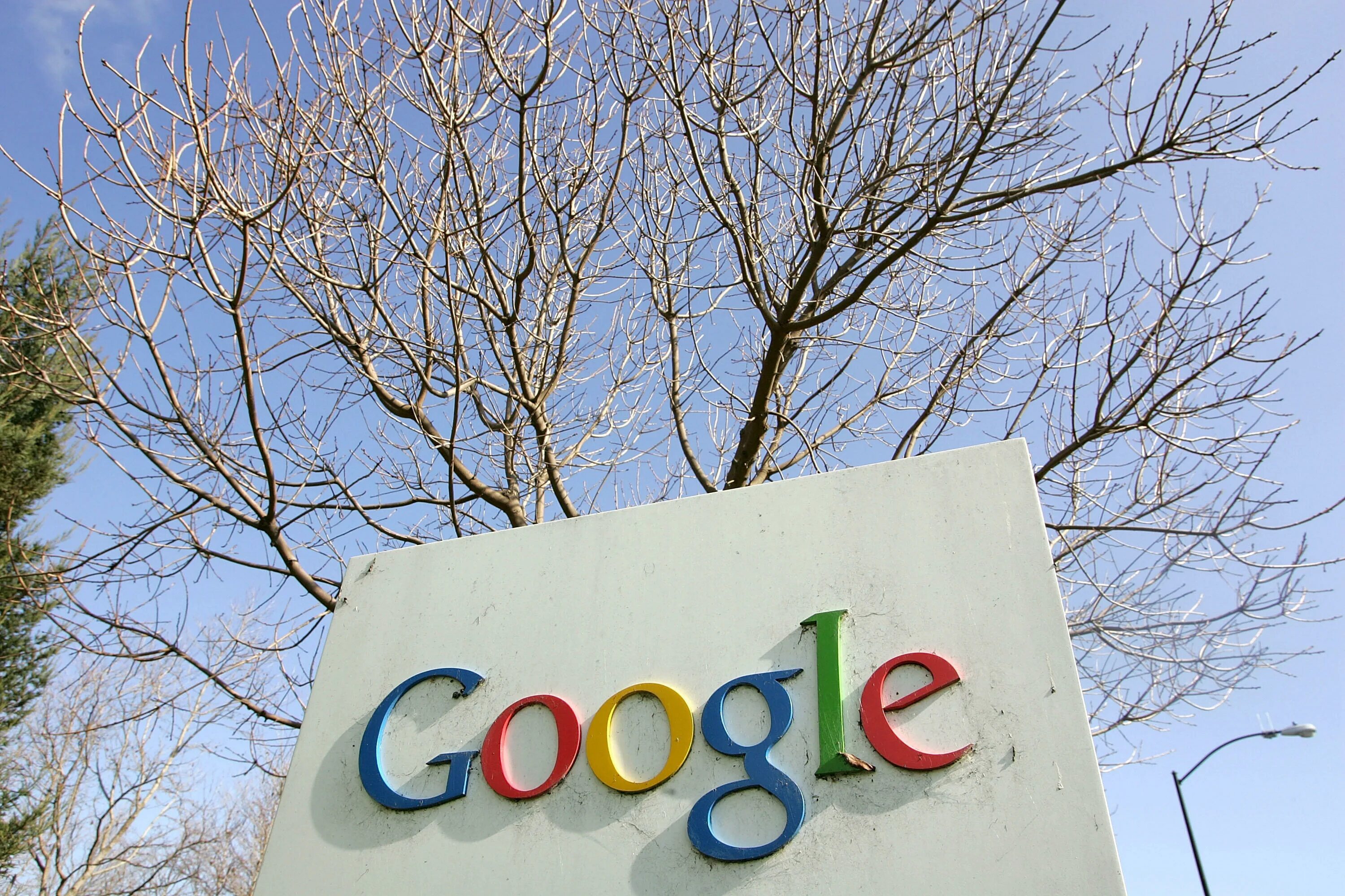 Гугл Россия. Google фото. Представитель Google в России. Гугл центр в России. Without google