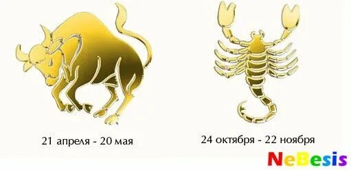 Телец и скорпион совместимость. Совместимость тельца и скорпиона. мужчина телец и женщина скорпион. совместимост скорпион и елец.
