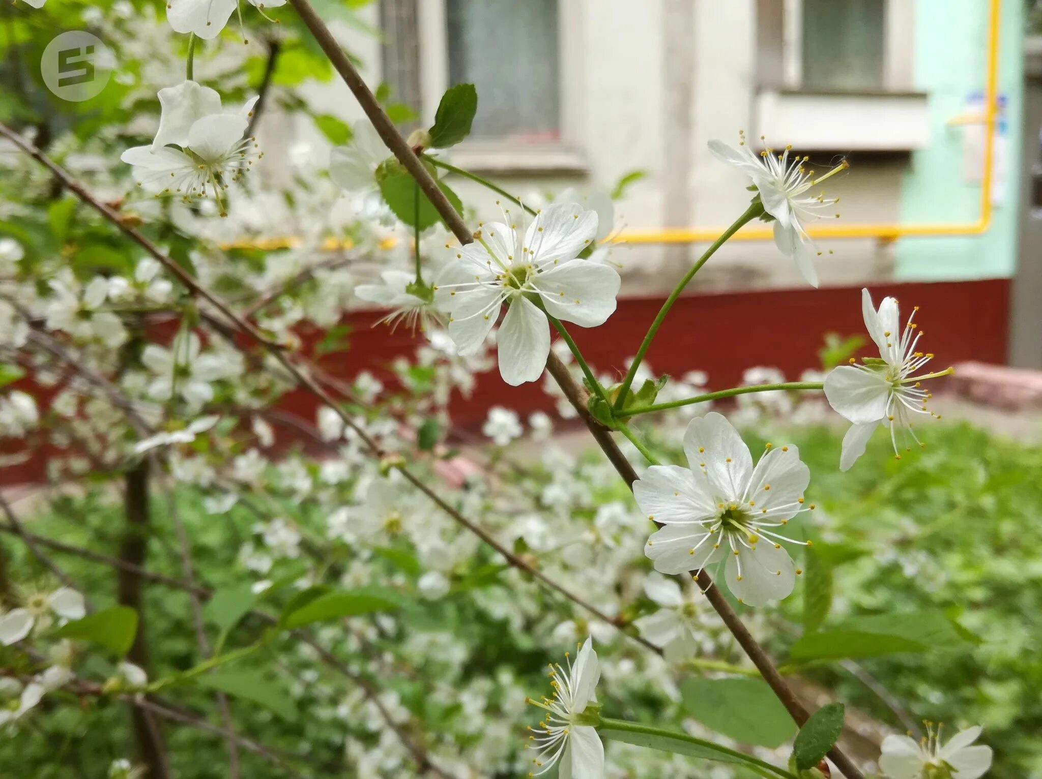 Сарапул зима ночь. Весна март в удмуртии фото. Погода в киселевске на неделю. Гидрометцентр удмуртии сарапул. Погода в йошкар-оле на сегодня почасовая.