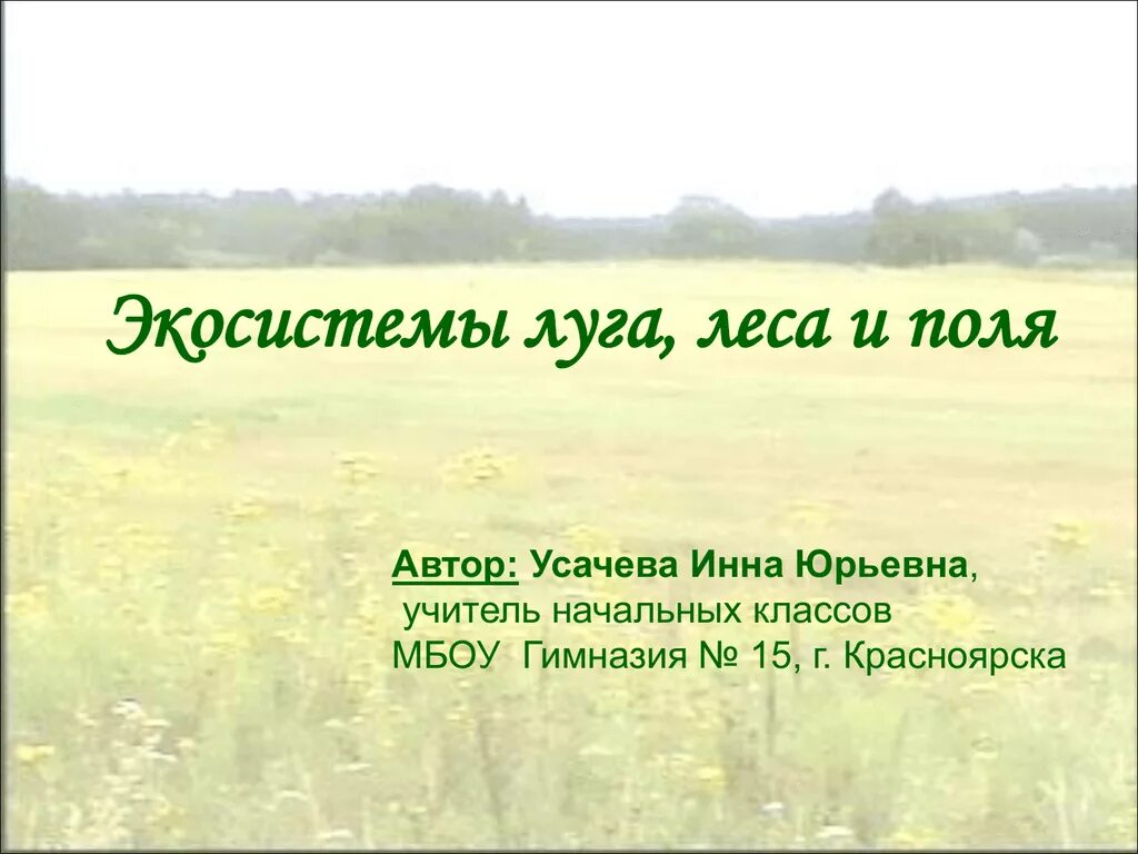 Экосистема Луга. Природные экосистемы луг. Экосистема поля и Луга. Природное сообщество луг. Чем поле отличается от луга кратко