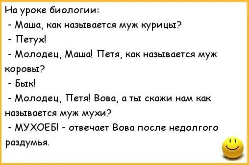 Как называется муж мухи. Анекдот про муху. Анекдот про урок биологии. Смешной анекдот про муху.