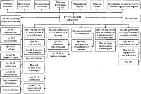 Структура управления хозяйства