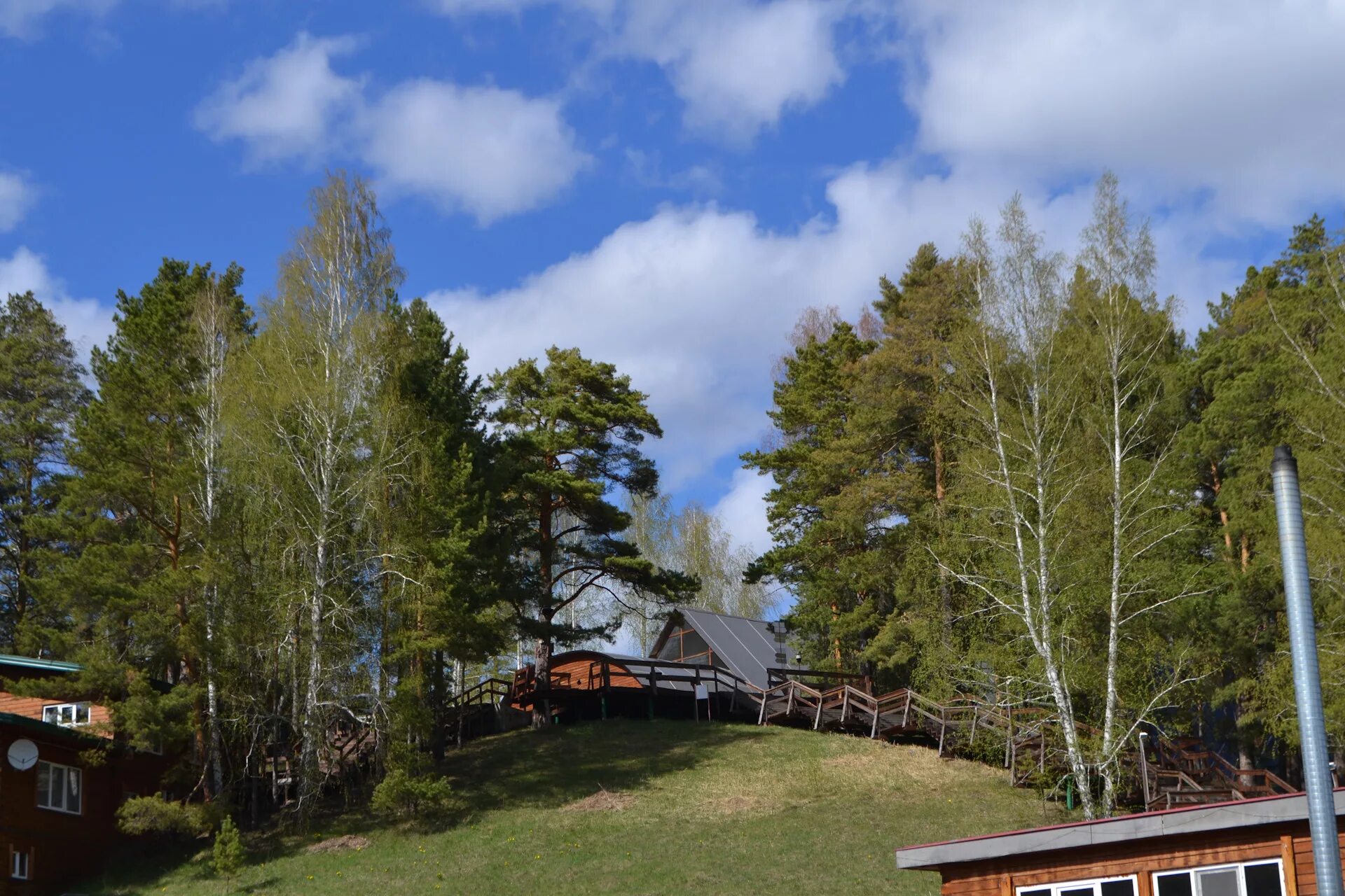 Сайт кулиги парка. Кулига парк Тюмень парк. Кулига парк Тюмень лето. Кулига парк Тюмень летом. Тюмень Кулига парк горячие источники.