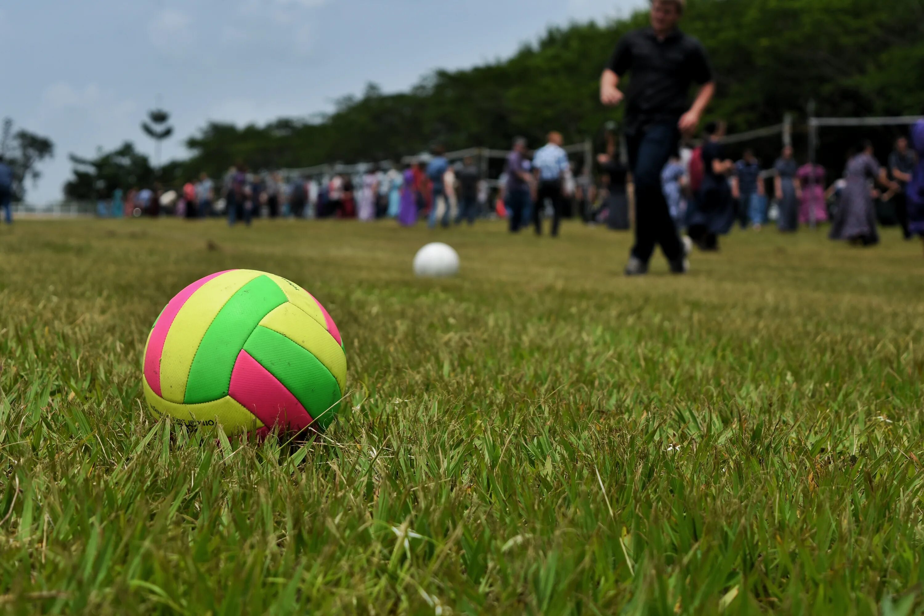 Игра мяч на траве. Волейбольный мяч на траве. Волейбол на газоне. Волейбол на траве. Волейбольный мяч на площадке.