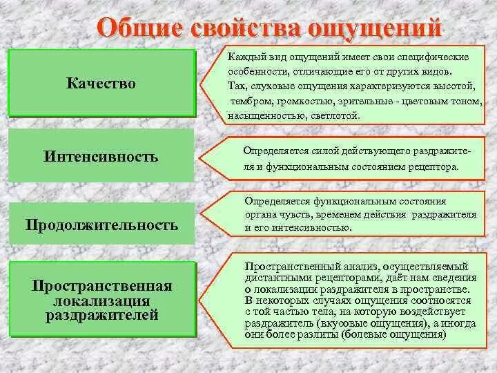 Особенности ощущений человека. Таблица общие свойства ощущений в психологии. свойства ощущений в психологии с примерами. характеристика ощущений в психологии. характеристика процесса ощущения.