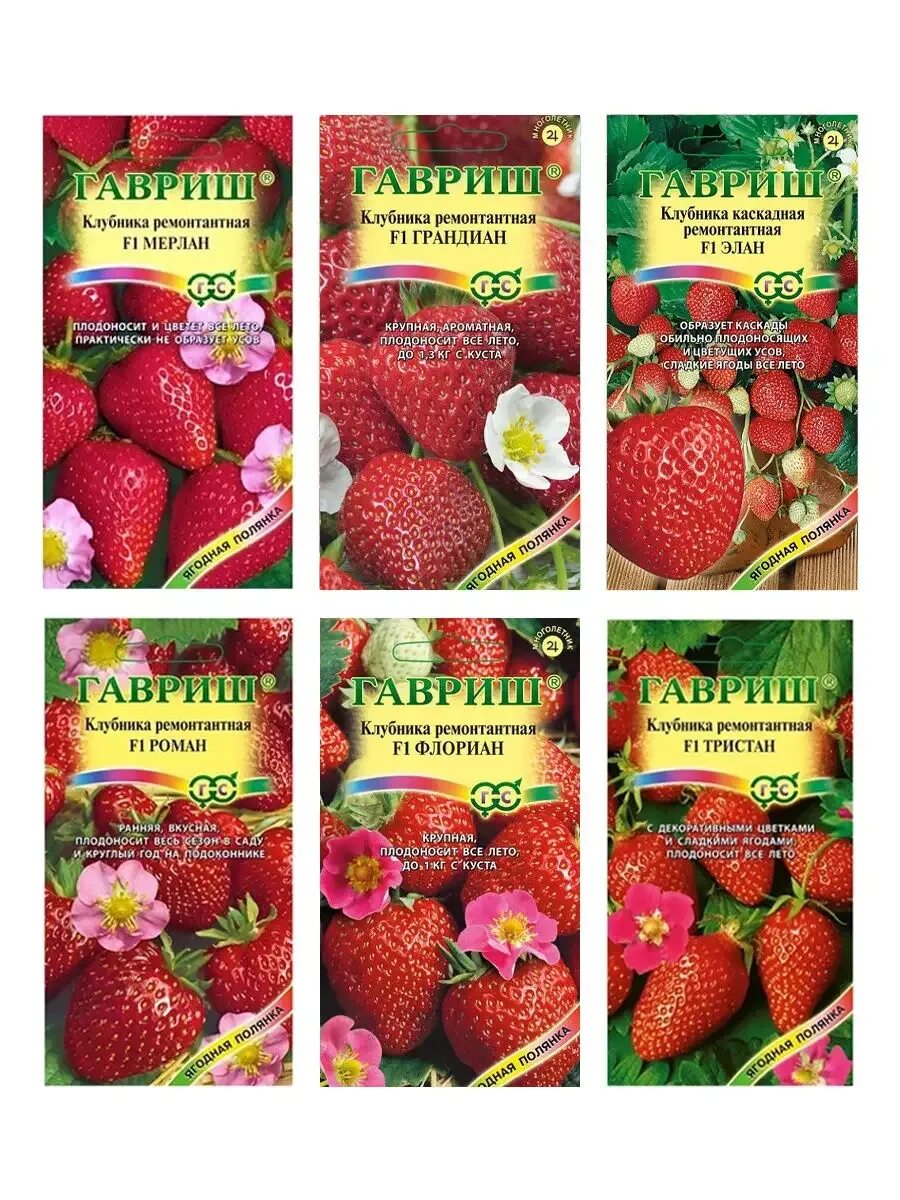 Клубника гигант русский f1. Семена клубники. Семена крупной клубники. Клубника гавриш ремонтантная. Семена крупной клубники.