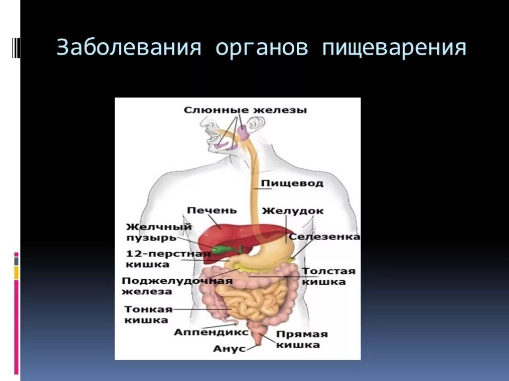 Заболевания жкт сообщение. Проект по биологии заболевания пищеварительной системы. Болезнь желудочно кишечного тракта биология 8 класс. Органы пищеварительной системы человека 8 класс биология. Таблица заболевания связанные с органами пищеварения.