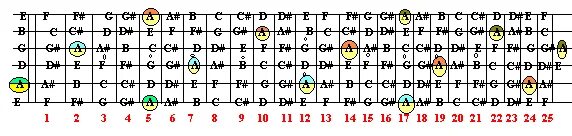 Fretboard Notes. Guitar Fretboard. Guitar Notes on Fretboard. Guitar Fretboard Notes. 7 нот гитары