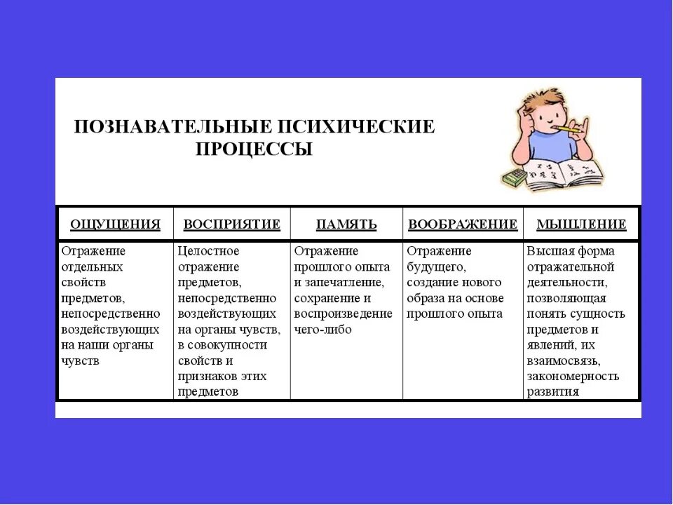 Ощущение восприятие мышление воображение