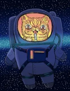 Space cat