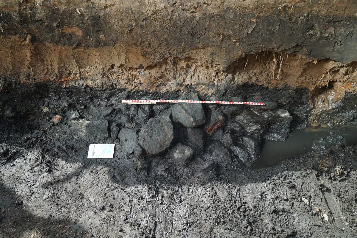 лесные пожары в сибири 2019. следы пожарищ. бревно после пожара. обгоревшая стена. следы пожарищ.