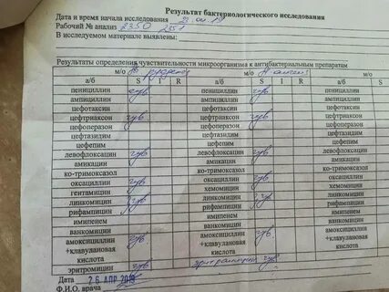Стафилококк носа горла лечение