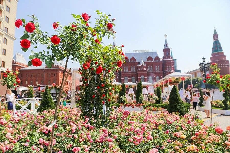 Цветы пл. Цветочный джем в Москве. Цветочный джем 2019. Цветочный джем в ГУМЕ. Фестиваль цветов «цветочный джем».