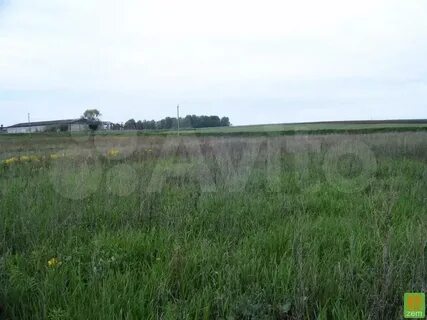 Участок в кургане