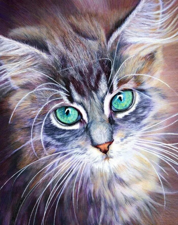 Красивые рисунки цветными карандашами. Художник Christina Papagianni. Живопись цветными карандашами. Картины цветными карандашами. Кошка цветными карандашами.