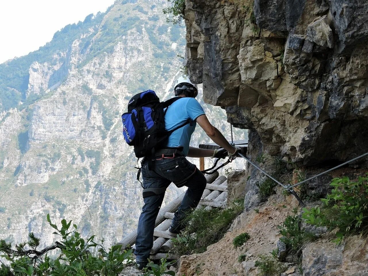 Climb формы