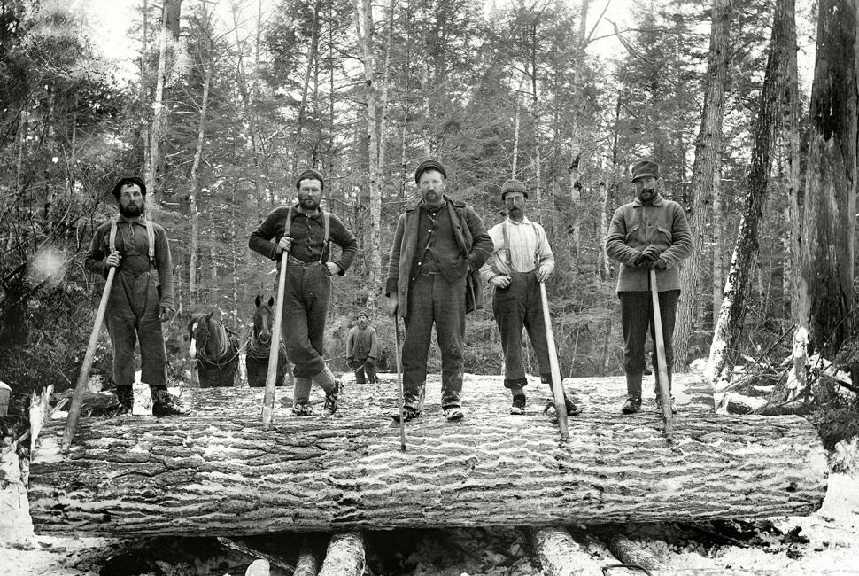 Люди рубящие лес. Лесорубы Секвойя 19 век. Лесорубы в Канаде 19 век. Лесорубы 19 век Россия. Лесорубы Сибири 19 век.