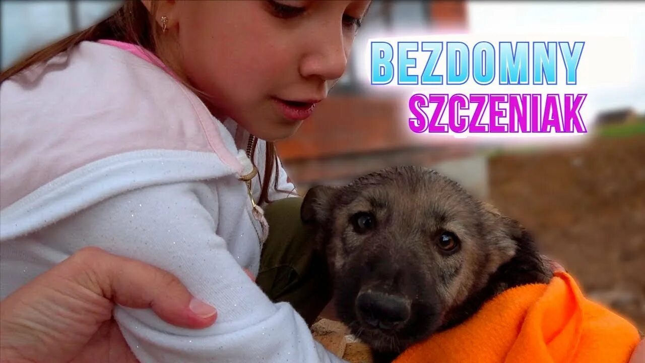 Вики шоу моя собака. Вики шоу моя собака. Собака вики шоу. Вики шоу моя собака. Сестренка вики шоу.