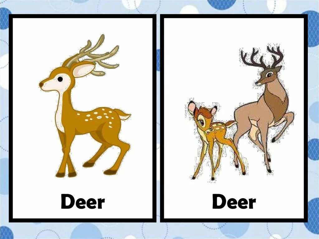 Oh deer перевод с английского. Deer произношение. олень на английском. рисунки на английский deer. deer deer irregular plural.