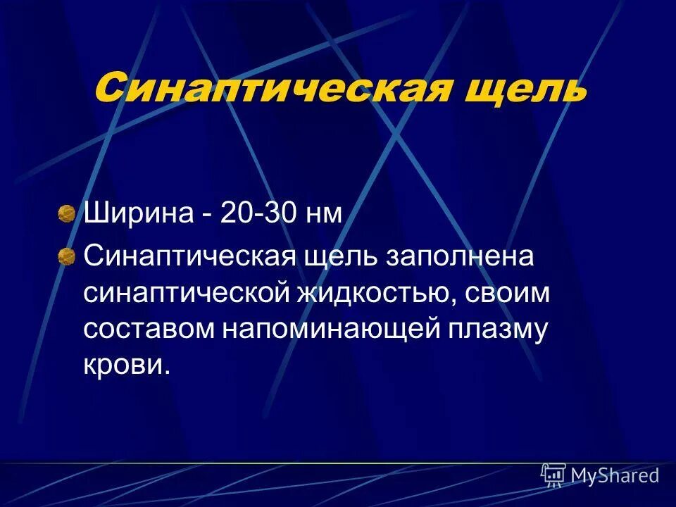 Синаптическая щель заполнена. Синаптическую щель. Синаптическая щель. Синаптическая щель как выглядит. Передача пд