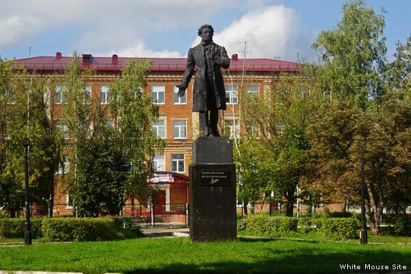 Орехово-зуево ул пушкина. Пушкина 12 медцентр орехово-зуево. Ул пушкина 12 орехово-зуево. Московская область орехово-зуево улица ленина 44 новая медицина. Дк пушкина орехово-зуево.