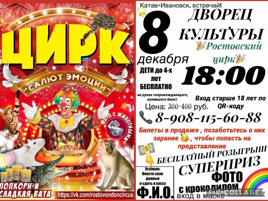 Ростовский цирк афиша. Ростовский цирк. Цирк экзотик шоу. Купон в цирк. Цирк белые львы.