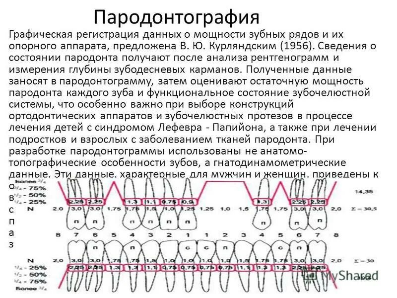 заполнение и анализ одонтопародонтограммы. функционирующая группа зубов это. факторы устойчивости зубных рядов. распад зубного ряда на самостоятельно действующие группы зубов. функциональный зубной ряд.