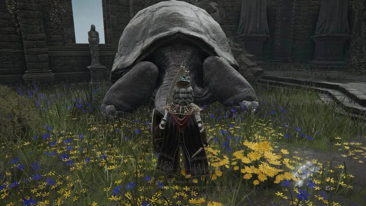 Npc elden. Элден ринг нпс горшок. Встреча главного героя с нпс. Elden ring персонажи нпс. Npc elden.