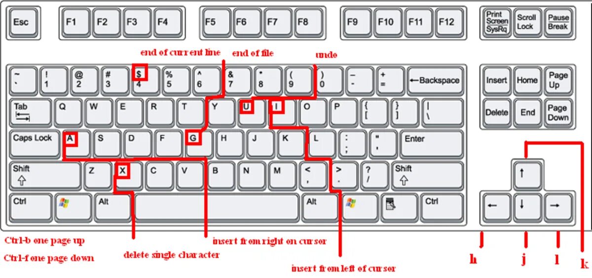 Где находится кнопка backspace. Кнопка strg. backspace где находится на клавиатуре. backspace на клавиатуре что обозначает. strg какая кнопка.