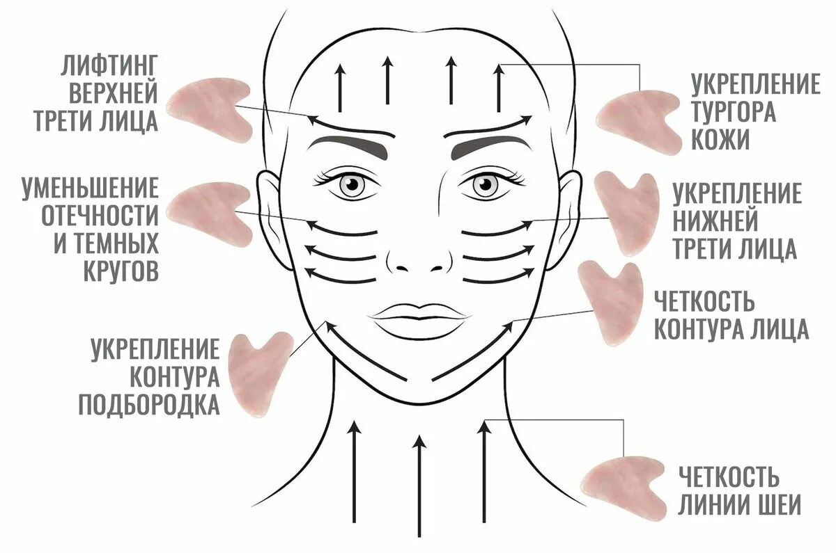 Скребок гуаша для лица техника выполнения массажа