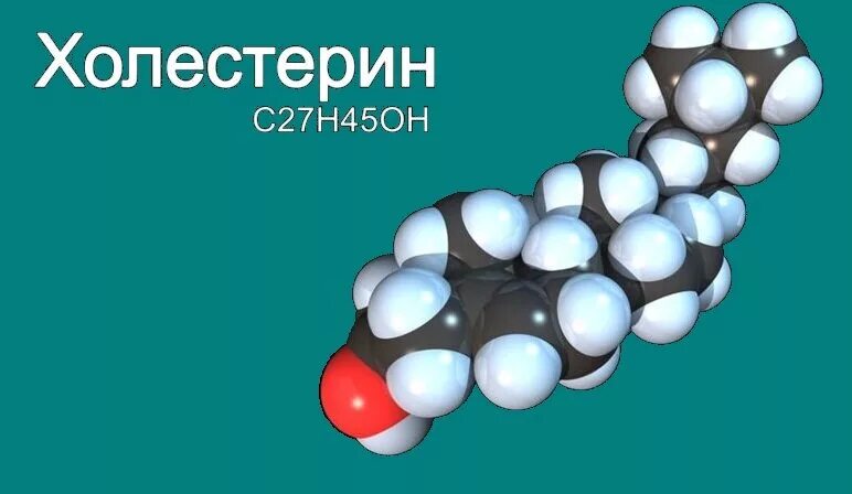 Холестерин вред и польза. Холестерин. Молекула холестерина. Польза холестерина.