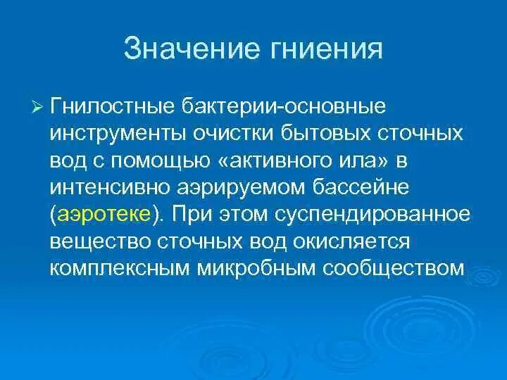 Гнилостные бактерии являются