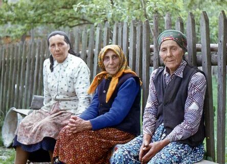 Сидят три женщины