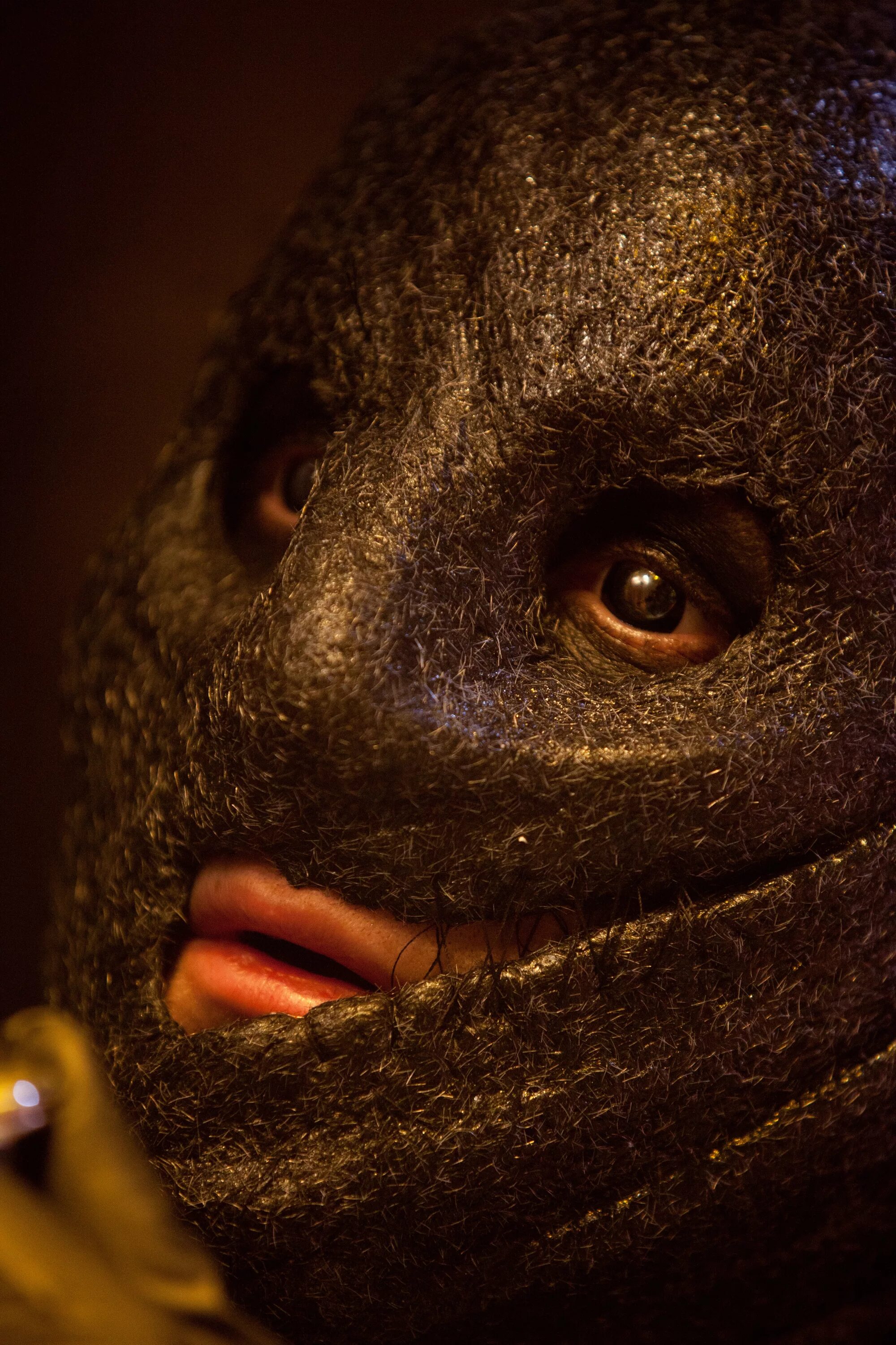 коллекционер 2 рэндолл арчер. коллекционер 2 рэндолл арчер. рэндолл арчер коллекционер фото без маски фильмография. коллекционер фото. рендел арчер коллекционер.