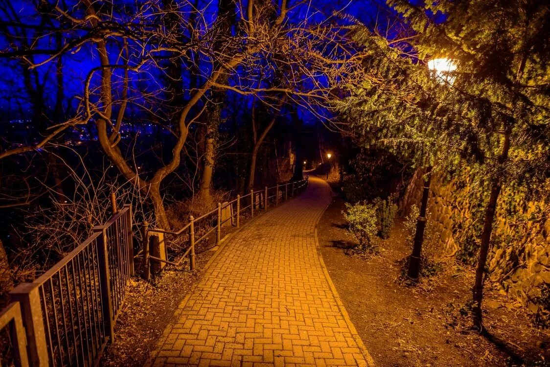 Вечером через парк. Нескучный сад ночью. Ночной парк БЕЛОКАН. Парк с фонарями. Ночной парк с фонарями.