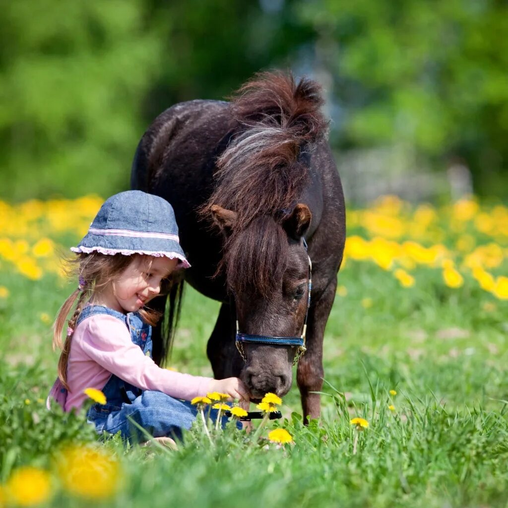 Horse kids. Лошадь для детей. Маленькие дети на лошади. Фотосессия с пони мальчик. Фотоконкурс ребята и зверята.