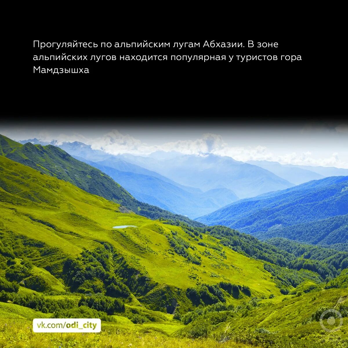 Разрешение в абхазию