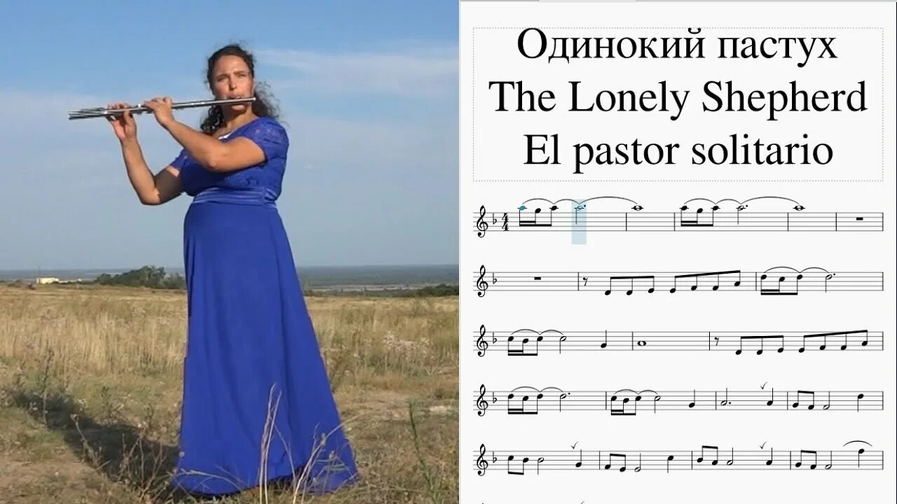 Одинокий пастух блокфлейта. The Lonely Shepherd Ноты для флейты. Одинокий пастух Ноты для флейты. Ре минор одинокий пастух. Рингтон пастух на телефон