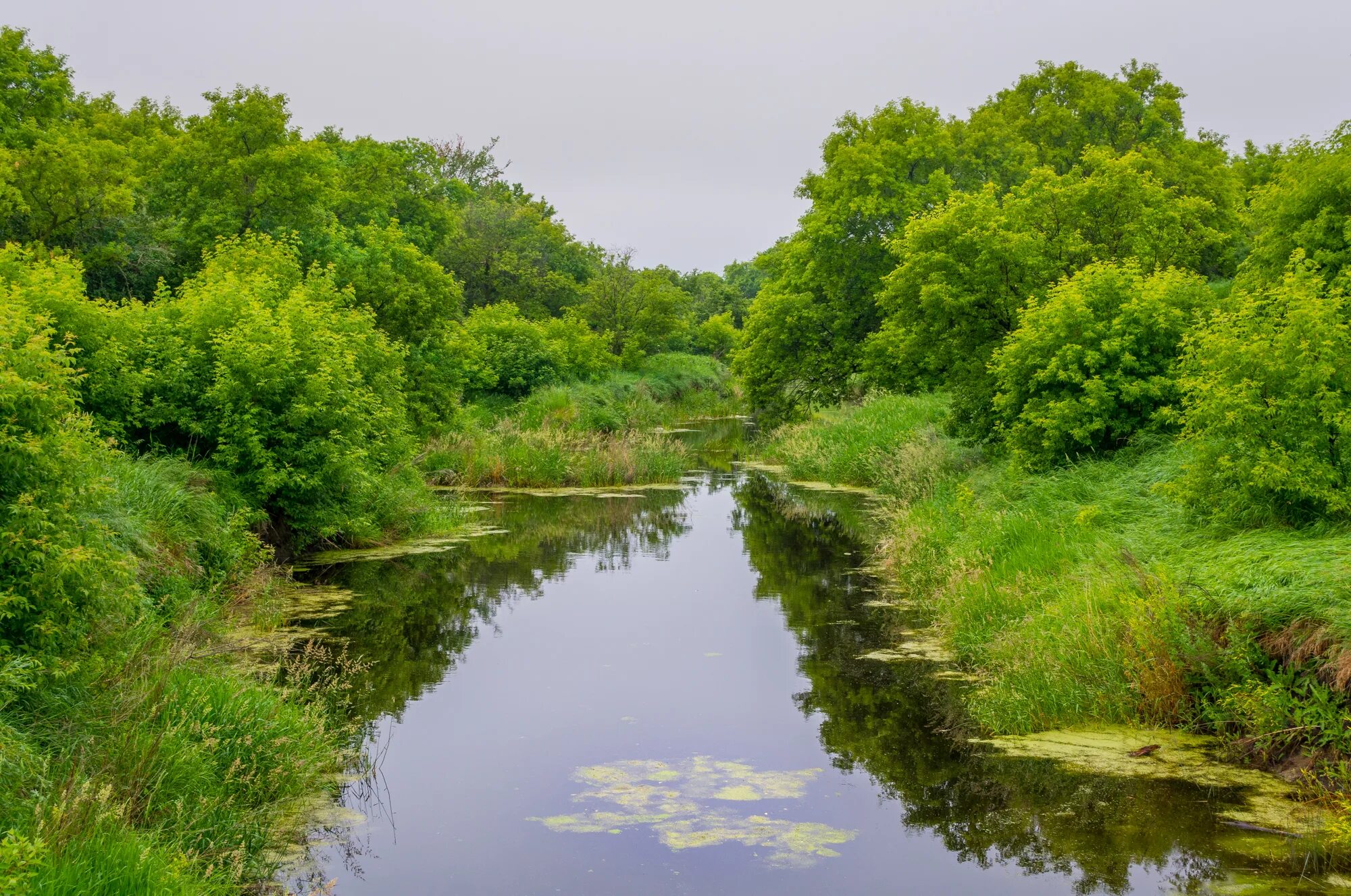 река лопасня ступинский район. река лопасня. река попасная, еховскийрайон. нерастанное лопасня река. река лопасня.