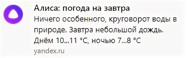 Алиса на завтра какая будет