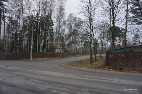 Выборы лахта ольгино