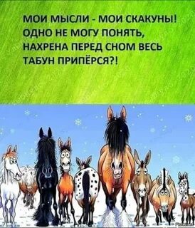 Мои мысли мои скакуны