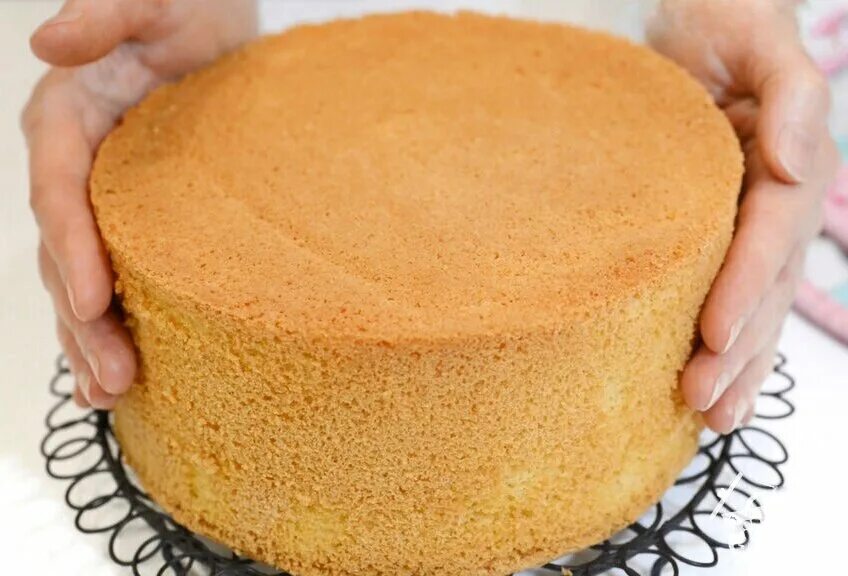 Рецепт бисквита получается. Сухой бисквит. Рецепт бисквита получается. Тесто для бисквита. Выпекание бисквита.