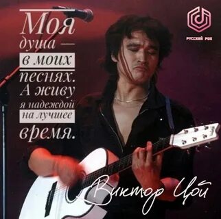 Цой 2023 год