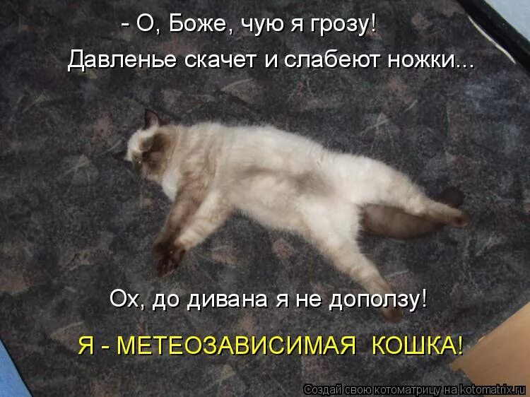 напилась до пьяна не до дома