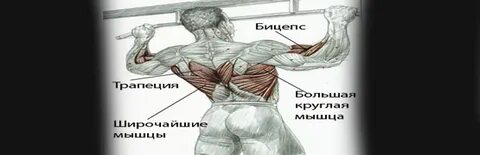 Как подтягиваются мышцы