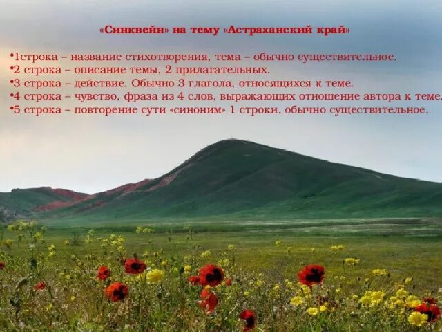 Проект природа ставропольского края 3 класс Особенности природы ставропольского края